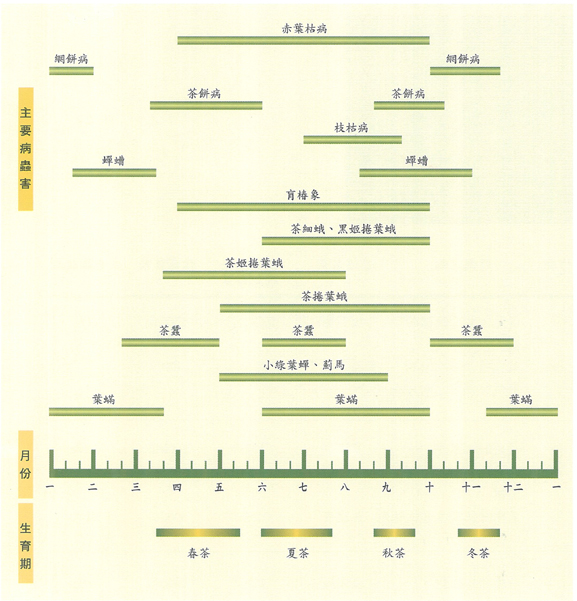 茶樹生育期及主要病蟲害發生情形